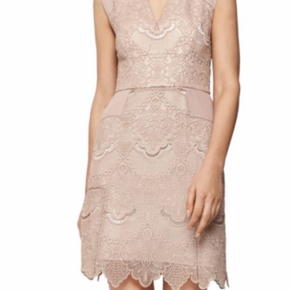REISS FEMININE LACE FIT AND FLARE DRESS IN NUDE SIZE 4 - Picture 8 of 14